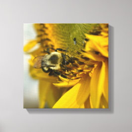 Lienzo Abeja ocupada en un girasol