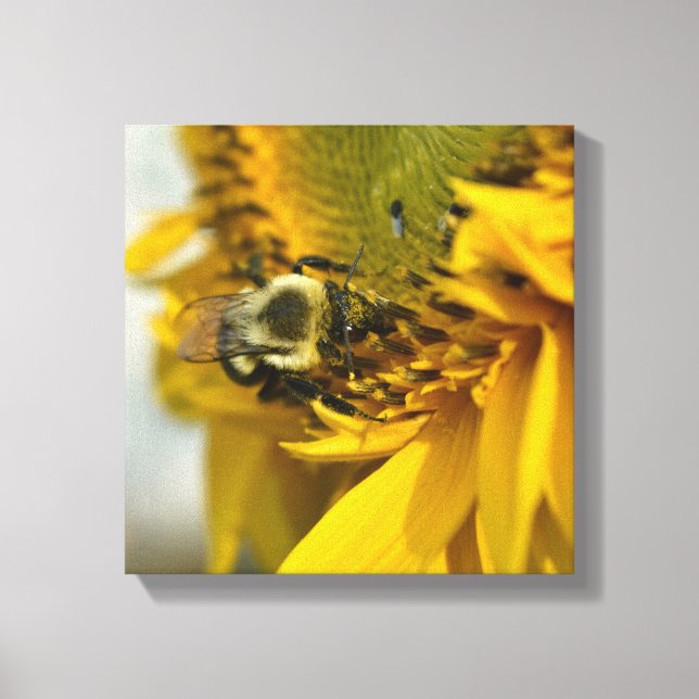Lienzo Abeja ocupada en un girasol (Anverso)