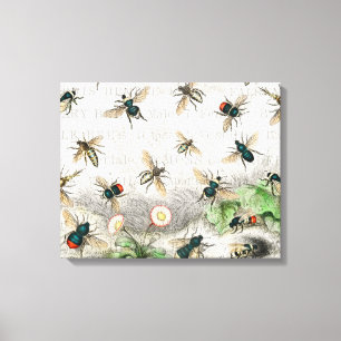 Lienzo Abeja Rey Abeja Miel Entomología Botánica Vintage