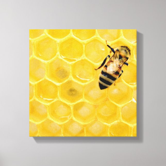 Lienzo abeja y abeja (Anverso)