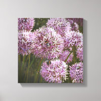 Abejas de verano 2014