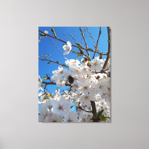 Lienzo Abejorro en flor de cerezo silvestre