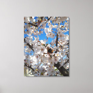 Lienzo Abejorro en flor de cerezo silvestre
