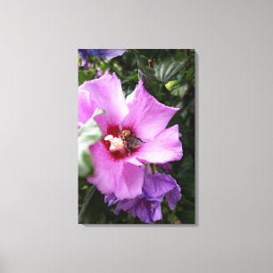 Lienzo Abejorro en Flor de Hibisco