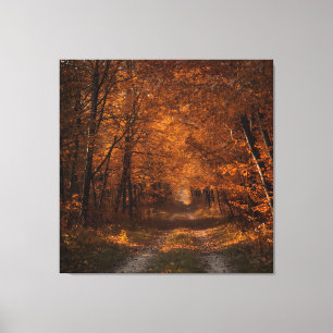 Lienzo Abrazo de otoño - Tranquilo Bella Artes de sendero