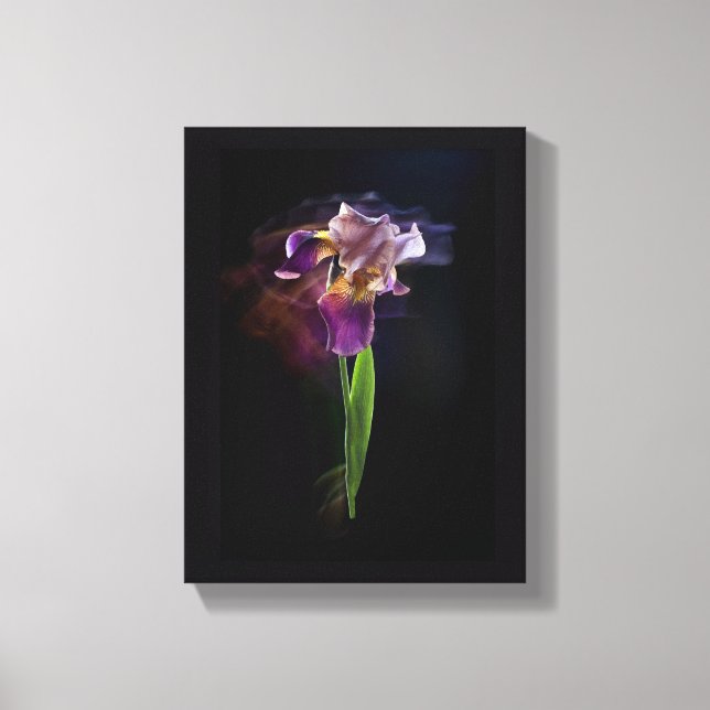 Lienzo Abstract Iris Flower – Elegant Floral Art (Anverso)