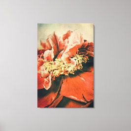 Lienzo Abstrakte Pfingstrose