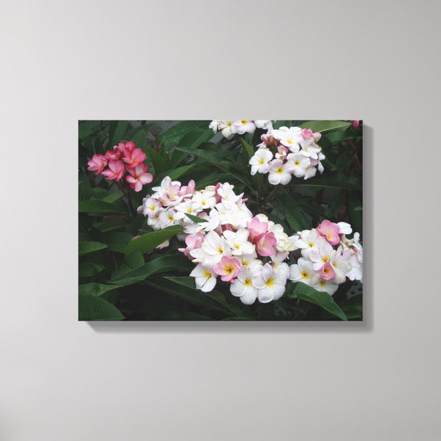 Lienzo Abundancia de plumerias de verano (Anverso)