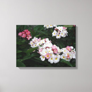 Lienzo Abundancia de plumerias de verano