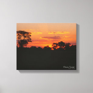 Lienzo Acacia Sunset