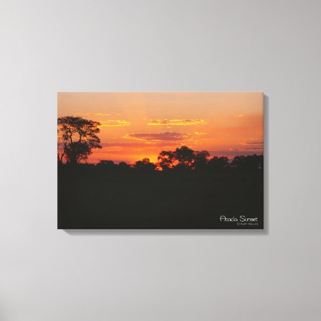 Lienzo Acacia Sunset (Anverso)