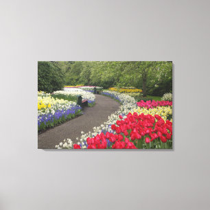 Lienzo Acera a través de tulipanes, narcisos, y