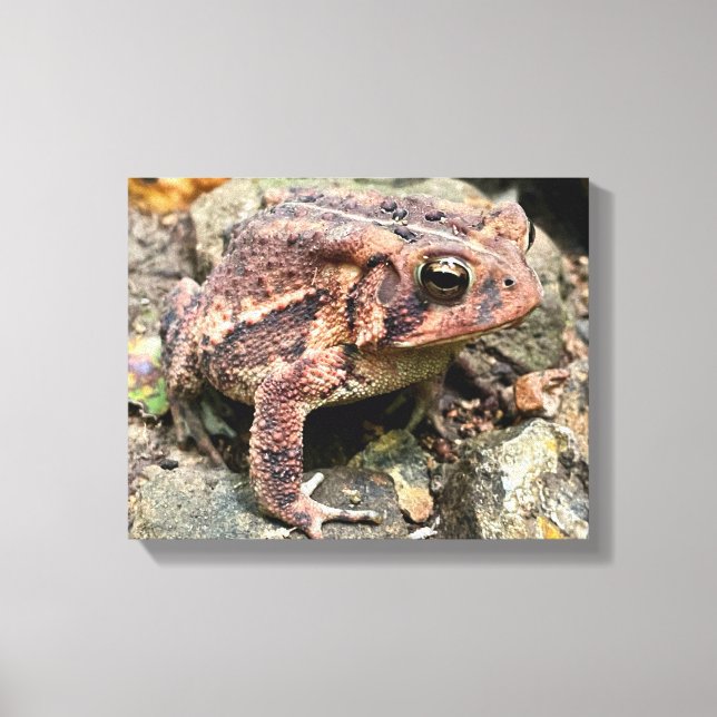 Lienzo Acercamiento a la barra sureña (Anverso)