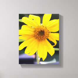 Lienzo Acercamiento al girasol amarillo bonito