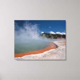 Lienzo Acero surgiendo de la piscina de champán en WAI-O-