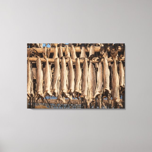 Lienzo Acróbalo (Anverso)