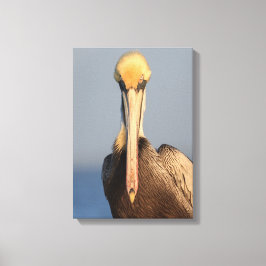 Lienzo Actitud Pelican