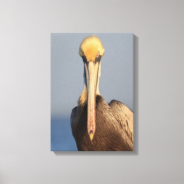 Lienzo Actitud Pelican (Anverso)