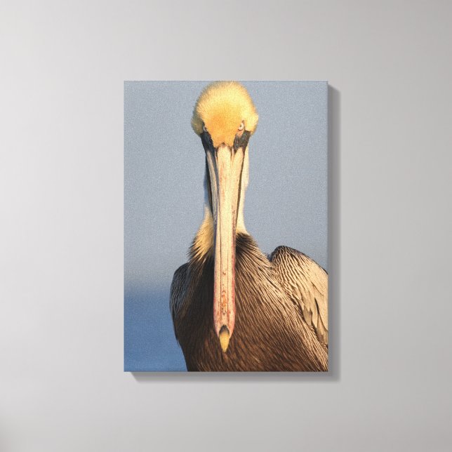 Lienzo Actitud Pelican (Anverso)