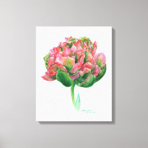 Lienzo Acuarela botánica verde rosada del tulipán