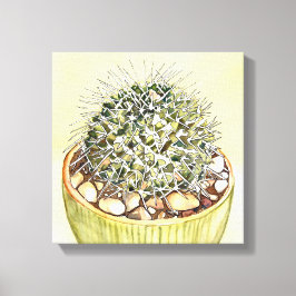 Lienzo Acuarela de Cactus por Debra Lee Baldwin