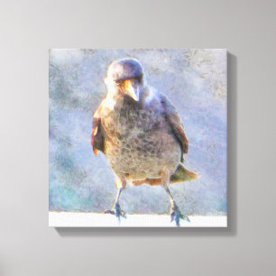 Lienzo Acuarela de Jackdaw