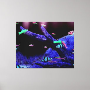 Lienzo Acuario
