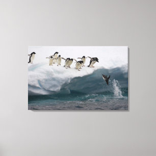Lienzo Adelie Penguins buceando en el mar Paulette