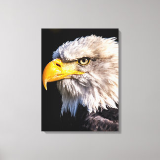 Lienzo Adler Eagle Canvas Print