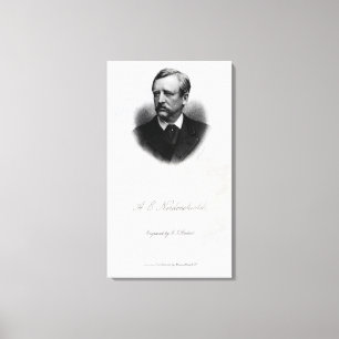 Lienzo Adolfo Erik Nordenskiold, 1880