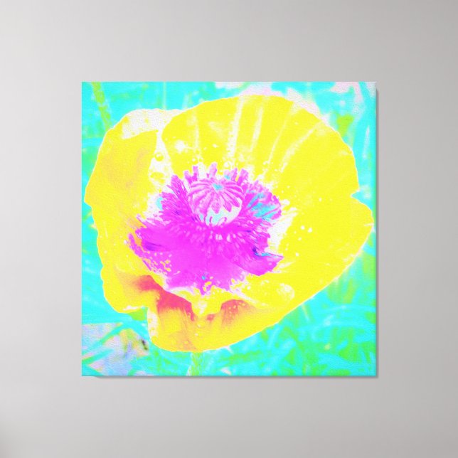 Lienzo Adormidera amarilla con centro rosado caliente en  (Anverso)