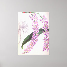 Lienzo Aerides Lobbii Vintage Lilac Lindenia Orquídea