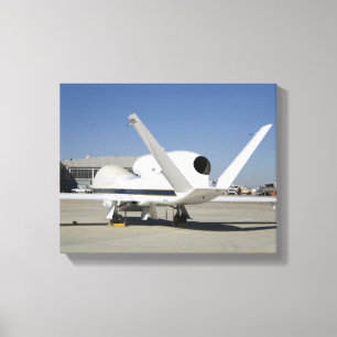 Lienzo Aeronaves no tripuladas Global Hawk