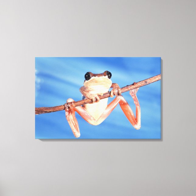 Lienzo África (Anverso)