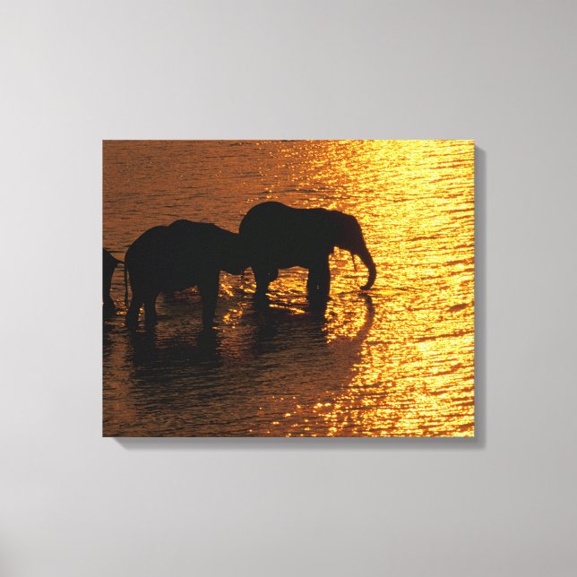 Lienzo África, Botsuana, Delta del Okavango. Africano (Anverso)