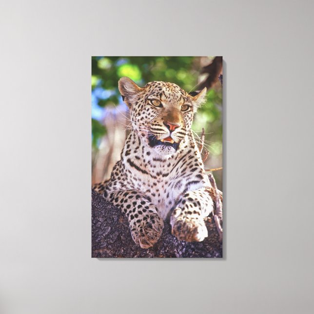 Lienzo África, Botsuana, Delta del Okvango, leopardo salv (Anverso)