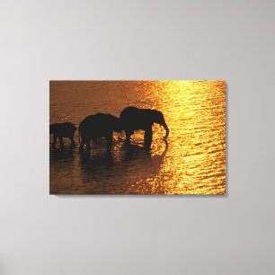 Lienzo África, Botswana, Delta del Okavango. Africano