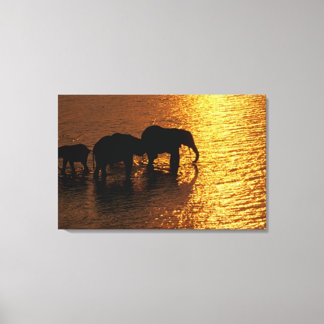 Lienzo África, Botswana, Delta del Okavango. Africano (Anverso)