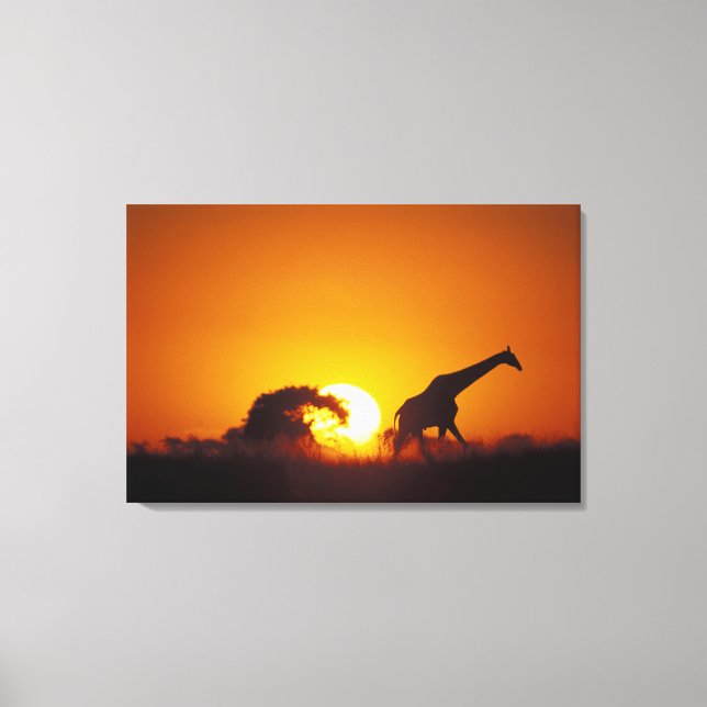 Lienzo África, Botswana, Parque Nacional de Chobe, Giraff (Anverso)