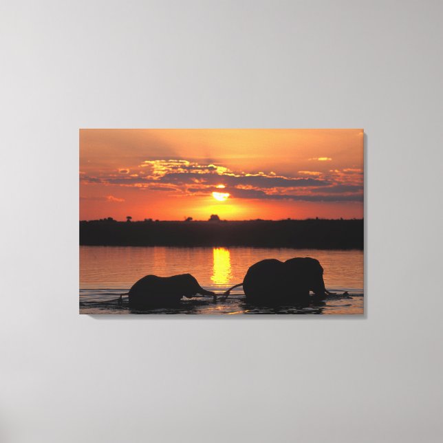 Lienzo África, Botswana, Parque Nacional de Chobe, Herd (Anverso)