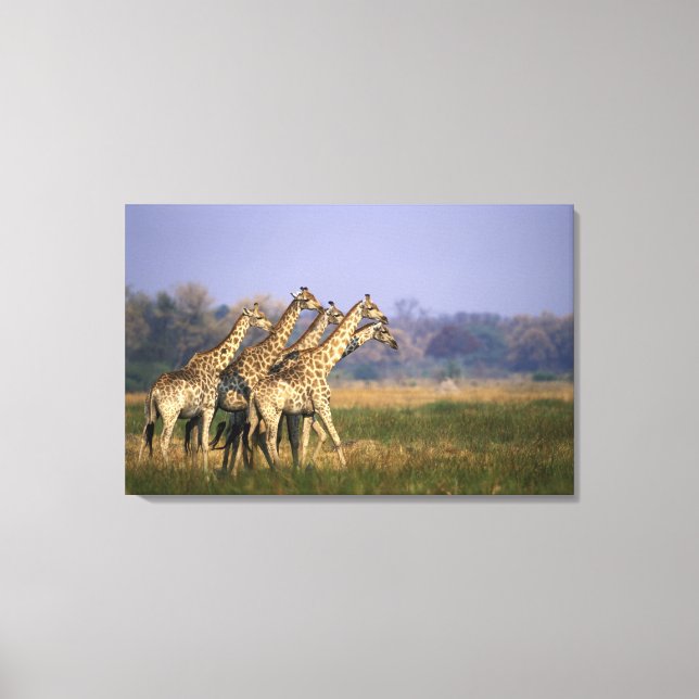 Lienzo África, Botswana, Reserva de Partidos Moremi (Anverso)