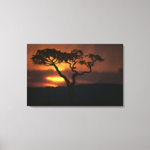 Lienzo África, Kenia, la reserva de caza Masai Mara, esc