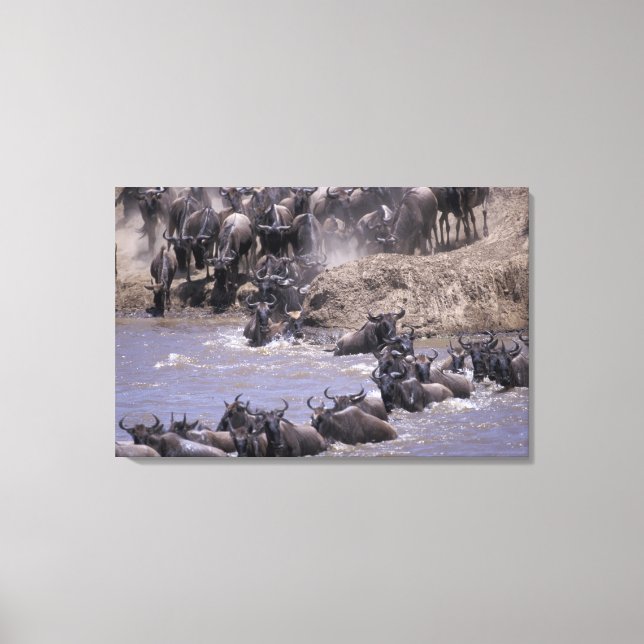 Lienzo África, Kenia, Parque Nacional Masai Mara. (Anverso)