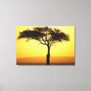 Lienzo África, Kenia, Reserva de caza Masai Mara, Amanece