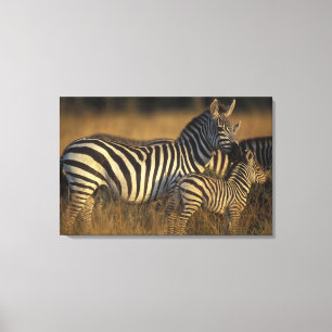 Lienzo África, Kenia, Reserva de caza Masai Mara. Llanura