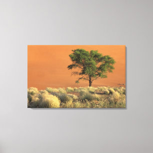 Lienzo África, Namibia, Parque Nacional Namib, Sossusvle