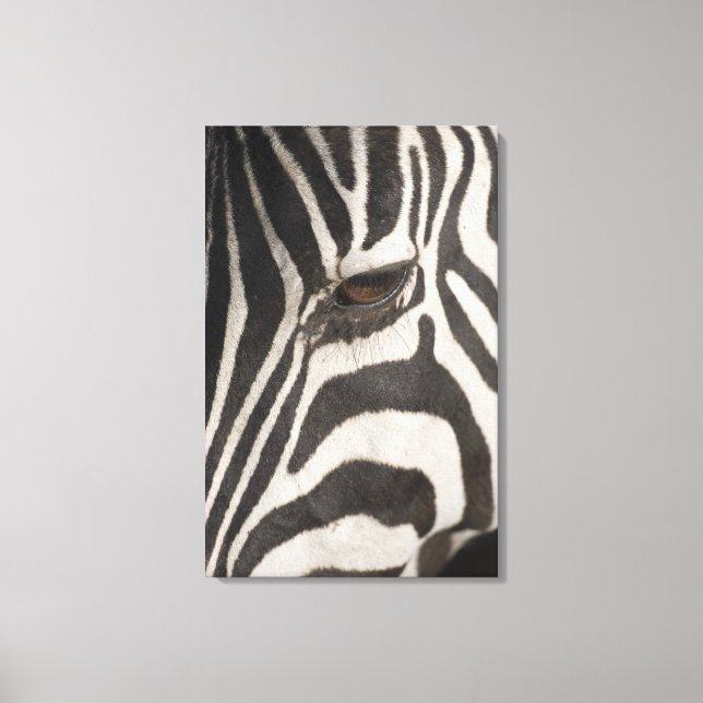 Lienzo "África, Tanzania, área de conservación del Ngoron (Anverso)