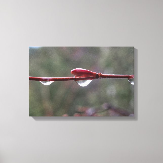 Lienzo After the Rain (Anverso)