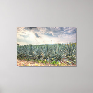 Lienzo Agave azul
