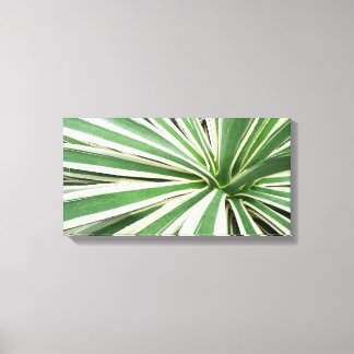 Lienzo Agave Plant Green y White Strike